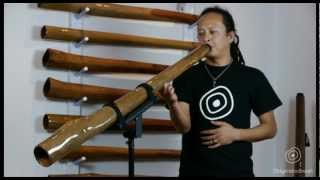 STIX didgeridoo #162 Key 'G'