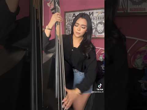 Si no quieres no🔥 #sinoquiereno #bajo #luisrconriquez #netonvega #belico #corridos #tololoche #fyp