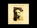 Seth Walker - "We Got This" plus interview