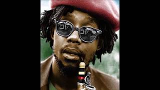 Peter Tosh   Equal Rights
