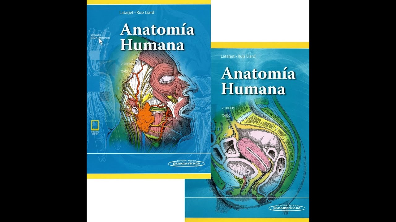 Latarjet Anatomía Humana 5a Ed PDF gratis link directo