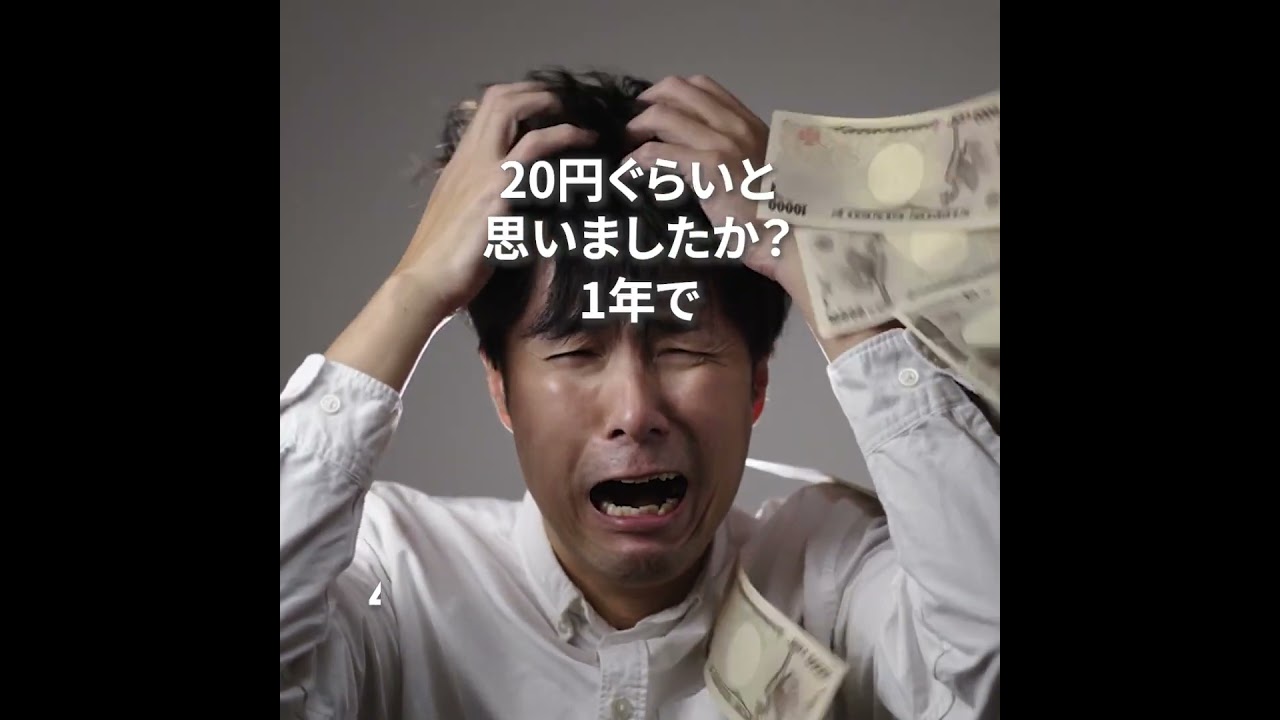 再エネ賦課金は政府主導のボッタクリ詐欺