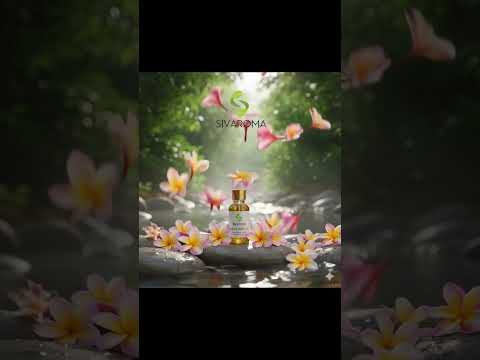 Frangipani Essential Oil