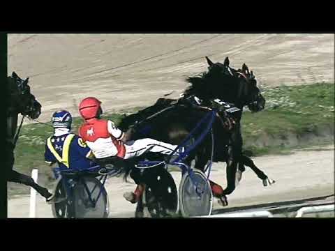 Napoli Trotto 28/10/2022 - 4ª corsa