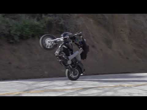 ShemZee - Feel the Snake