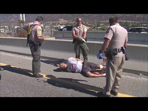 Los Angeles police tackle pursuit suspect before jumping from freeway overpass Video