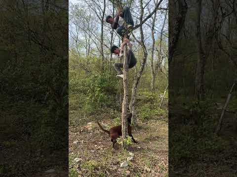 ١٩ أبريل ٢٠٢٦