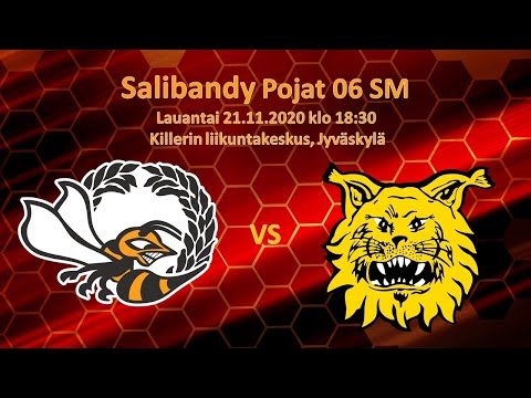 O2JKL/MUURY - Ilves