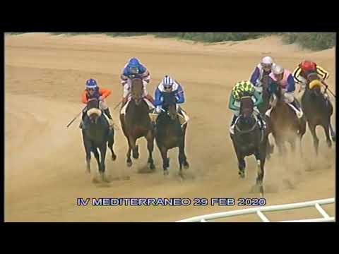 Galoppo Corse del 29 Febbraio 2020
