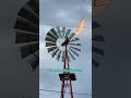 A wind pump by any other name.  Frank Black ~ Where the wind is going