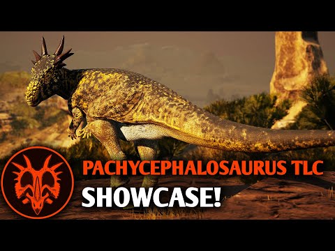 Pachycephalosaurus TLC Out Now! - Path of Titans Update