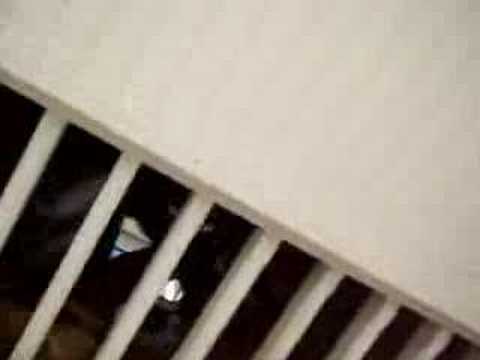 Stempelstelle 195 Köthener Hütte - Harzer Wandernadel