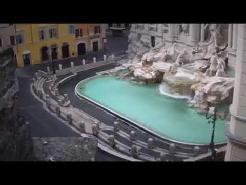 Frankdav In #Skynet #Covid19