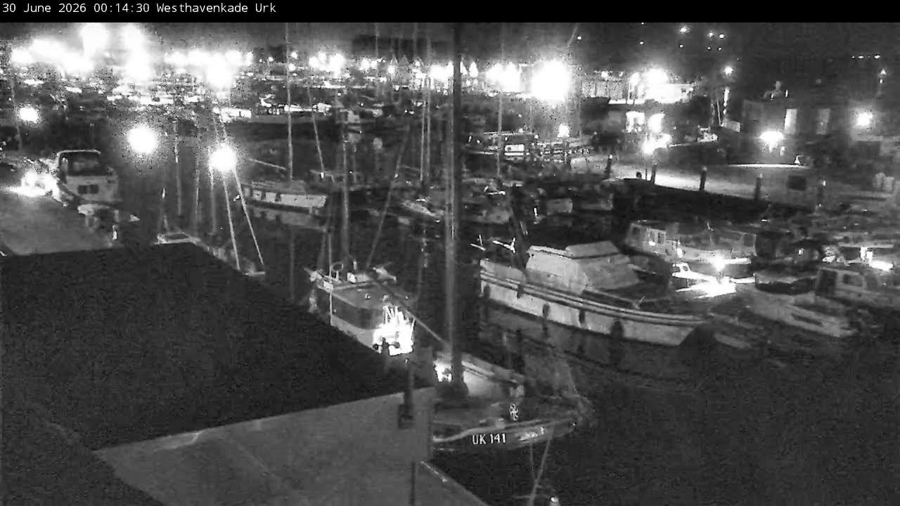 Live webcam view of Westhavenkade Harbour Marina