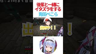 後輩と一緒にイタズラをするぺこら【ホロライブ/兎田ぺこら】 #hololive #ホロライブ #ホロライブ切り抜き #兎田ぺこら #ぺこら #兎田ぺこら切り抜き #ホロドラゴンマイクラ #マイクラ