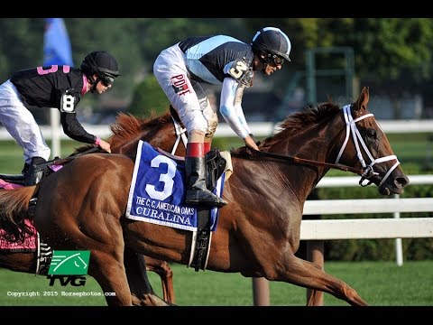Curalina and Wedding Toast Square Off in 2015 Beldame