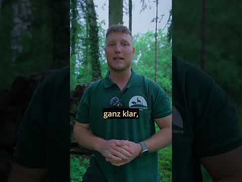 Waidmannsheil oder Weidmannsheil? Die Geschichte hinter der Schreibweise. 📯🌲 - Frag den Jäger