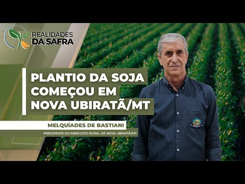 Plantio da soja já começou em Nova Ubiratã/MT