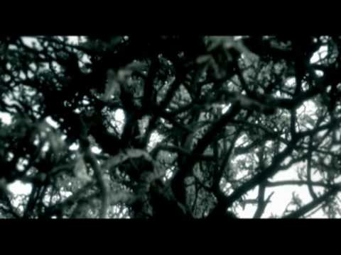 Polarkreis 18 - Happy Go Lucky