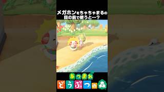 メガホンをちゃちゃまるの目の前で使うと驚きの結果にｗｗ 【あつ森アプデ】
