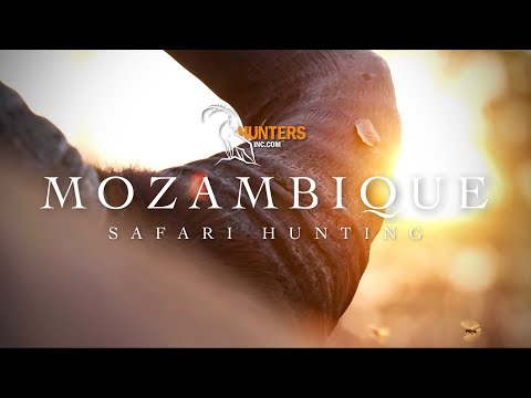 Mozambique Hunting