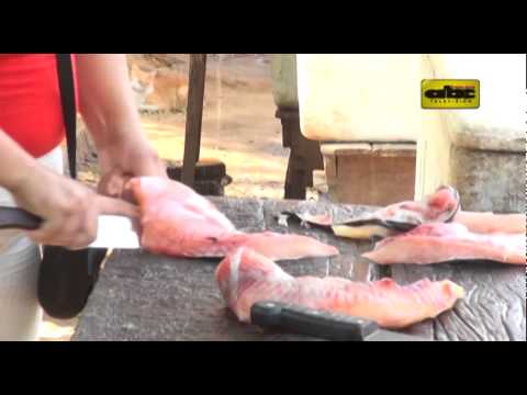 Piden postergar inicio de veda pesquera