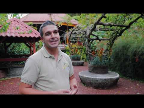 Green Healthcare medical adventure and recovery travel
