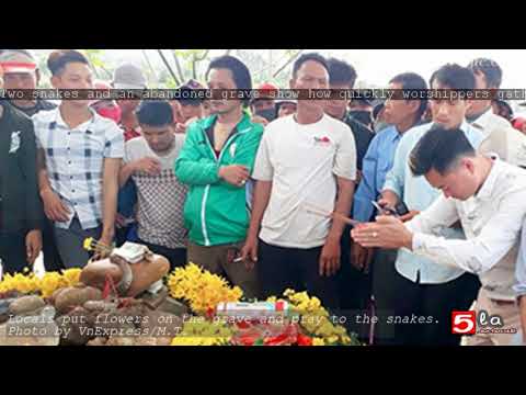 Two snakes and an abandoned grave show how quickly worshippers gather in Vietnam Video