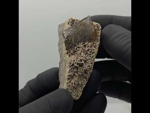 BARITA y PIRITA, Cerro Warihuyn, Miraflores District, Huamalíes Province, Huánuco, Perú. #minerals