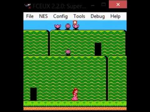 GSCentral.org - Super Mario Bros 2 (NES) - Enemy Modifiers (24 - Pink Panser) (PAR)