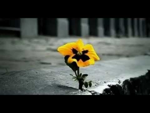 Baszu, RaVek - Co Z Nas Wyrosło?