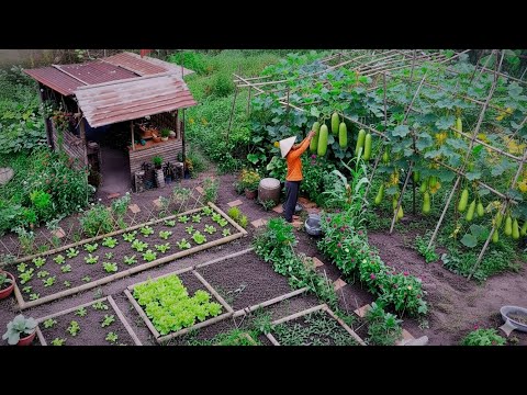 A Peaceful Day Hidden in My Little Garden