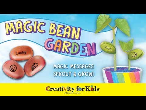 Creativity Magic Bean Garden