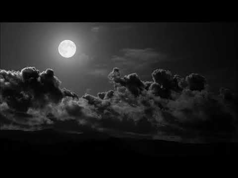 Armand Amar & Sandrine Piau - Tu Seras Mon Fils (Cum Dederit)