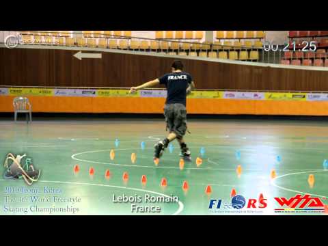 WFSC2010 SRM 26th Lebois Romain