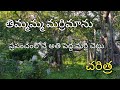 Timmamma Marrimanu Worlds Biggest Banyan Tree Full History In Telugu Kadiri AP India