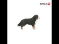 Schleich figūrėlė Berno zenenhundų patelė