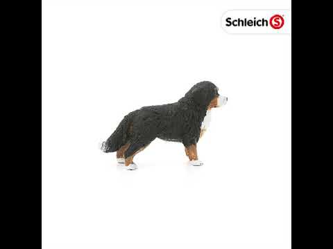 Schleich figūrėlė Berno zenenhundų patelė video