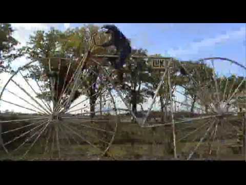 Opener Völlig Verrückt