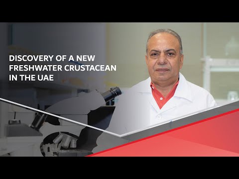 اكتشاف نوع جديد من قشريات المياه العذبة بدولة الإمارات