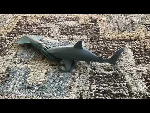 Giant squid 🦑 VS Great white shark 🦈