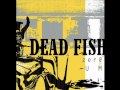 Dead Fish - Desencontros 