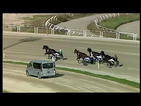 Napoli Trotto 28/02/2021 - 3ª corsa