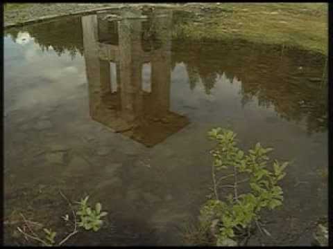 download lagu mp3 mp4 Mcnmedia, download lagu Mcnmedia gratis, unduh video klip Mcnmedia