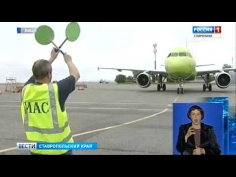 Витамины для кошки для укрепления суставов Мениски коленного сустава функции