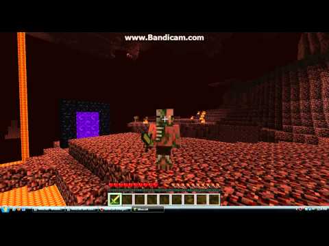 Minecraft: The Life of a Zombie Pigman