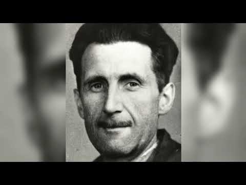 Projekt Orwell aneb 2 + 2 = 4?