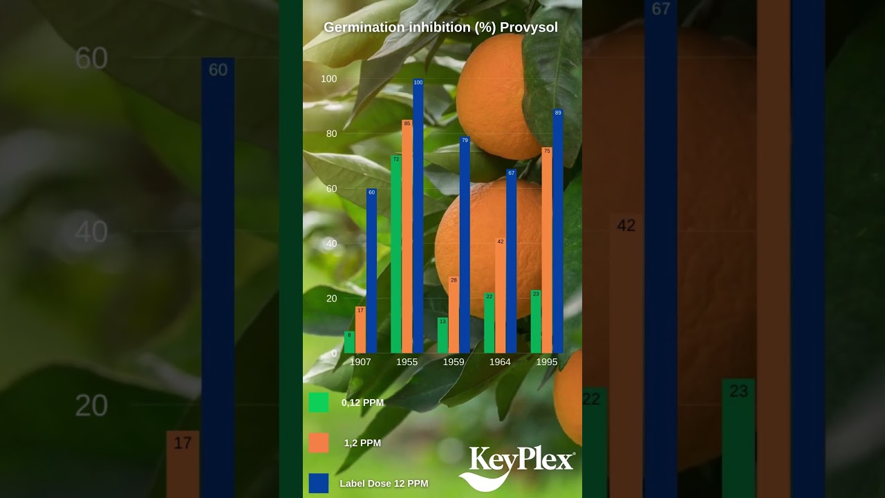 Promising New Findings on Fungicide Use in Florida Citrus #agriculture #floridacitrus #citrus