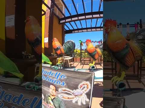 Feria de la fruta en San Pedro Nonualco