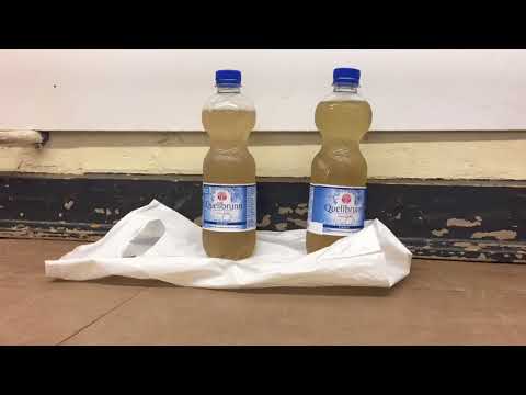 Moringa Erstes Experiment